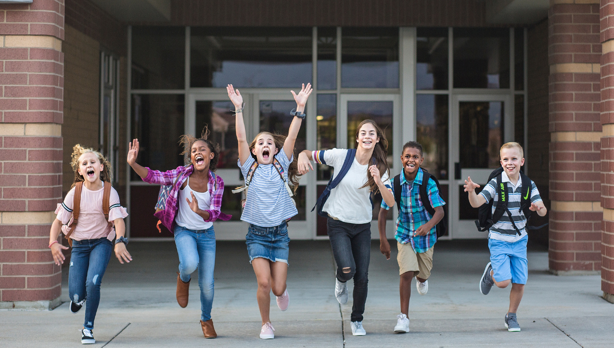 Schools and Institutes